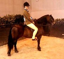 Chloe-Chubb-HOYS.jpg