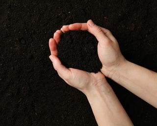 Someone holding earth with soil background