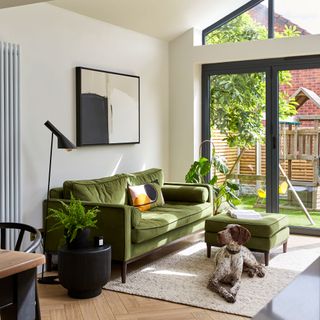 Living area in extension with bi-fold doors to the garden, green sofa and large dog on rug
