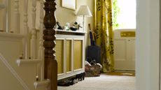 Small entryway area featuring a floor lamp, umbrella stand, and a breezy rattan-accent shoe storage cabinet