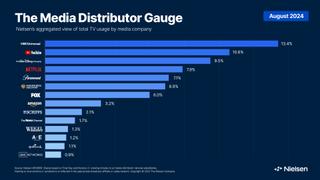 Chart showing share of TV viewing by top media cmpanies