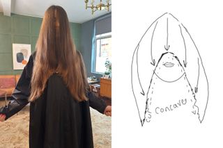 Concave haircut on Dionne Brighton, with hair covering face wearing hairdresser gown. Drawing of concave haircut illustrated by Michael Douglas