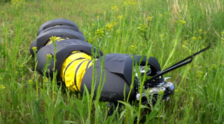 Ground Control Robotics robobug