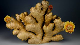 Foods that help hay fever: ginger
