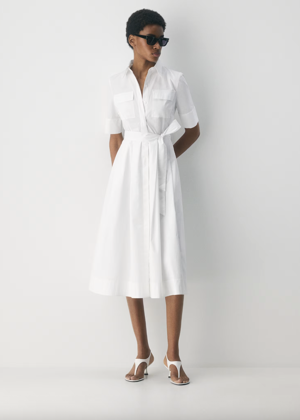 Aritzia Babaton Fresno Poplin Dress