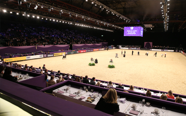 HOY-INternational-Arena