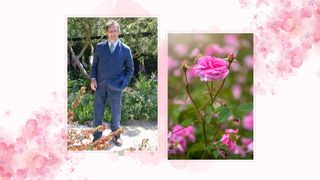 Compilation image of Monty Don and a pink rose to support Monty Don's rose pruning advice