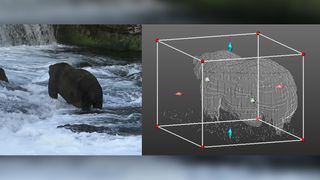 Laser surveys produced cloud point generated images of bears, revealing their volume.