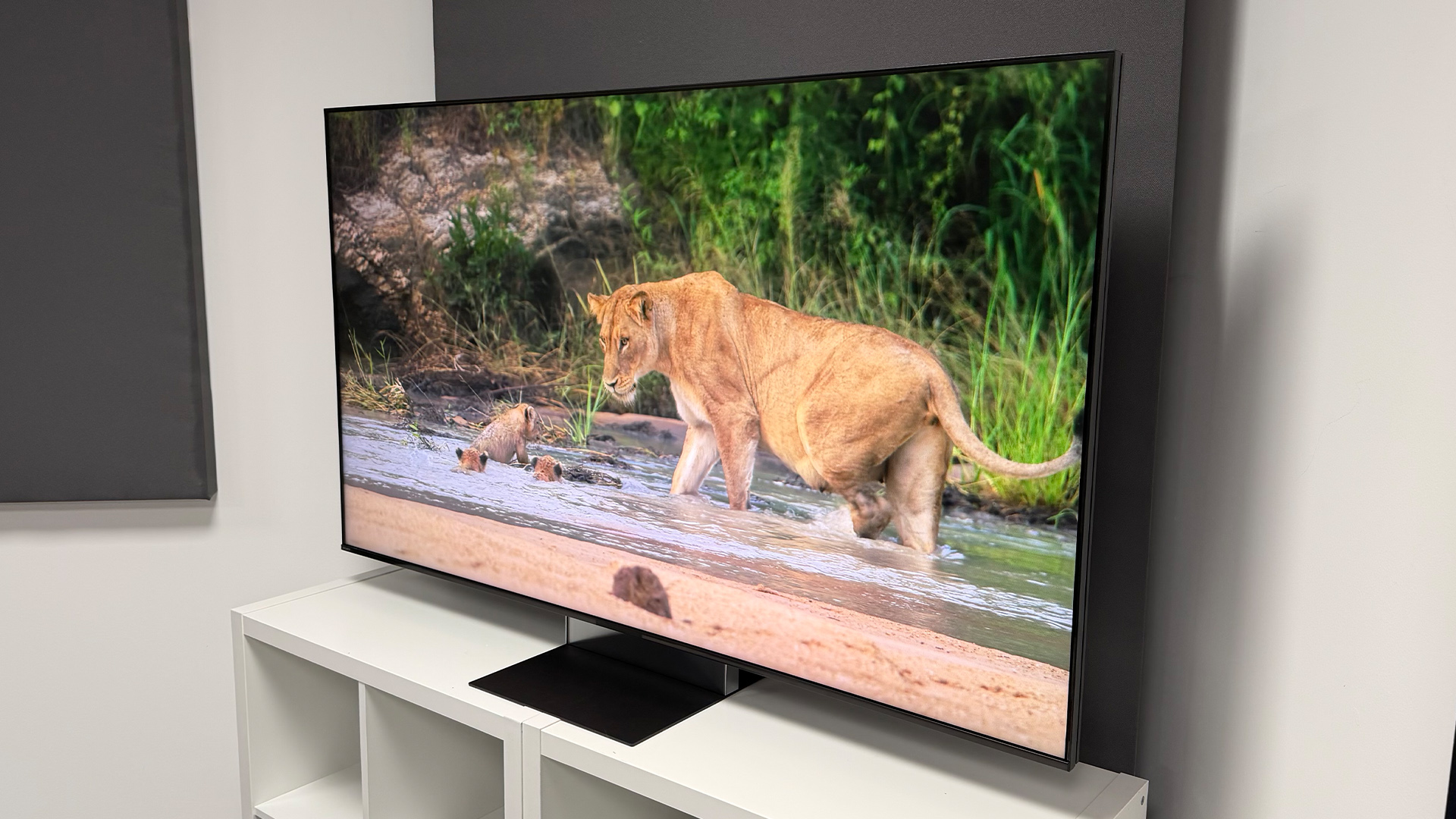 Sony Bravia 9 II RGB Mini LED TV on white shelving unit slight angle with lion and baby lion on screen