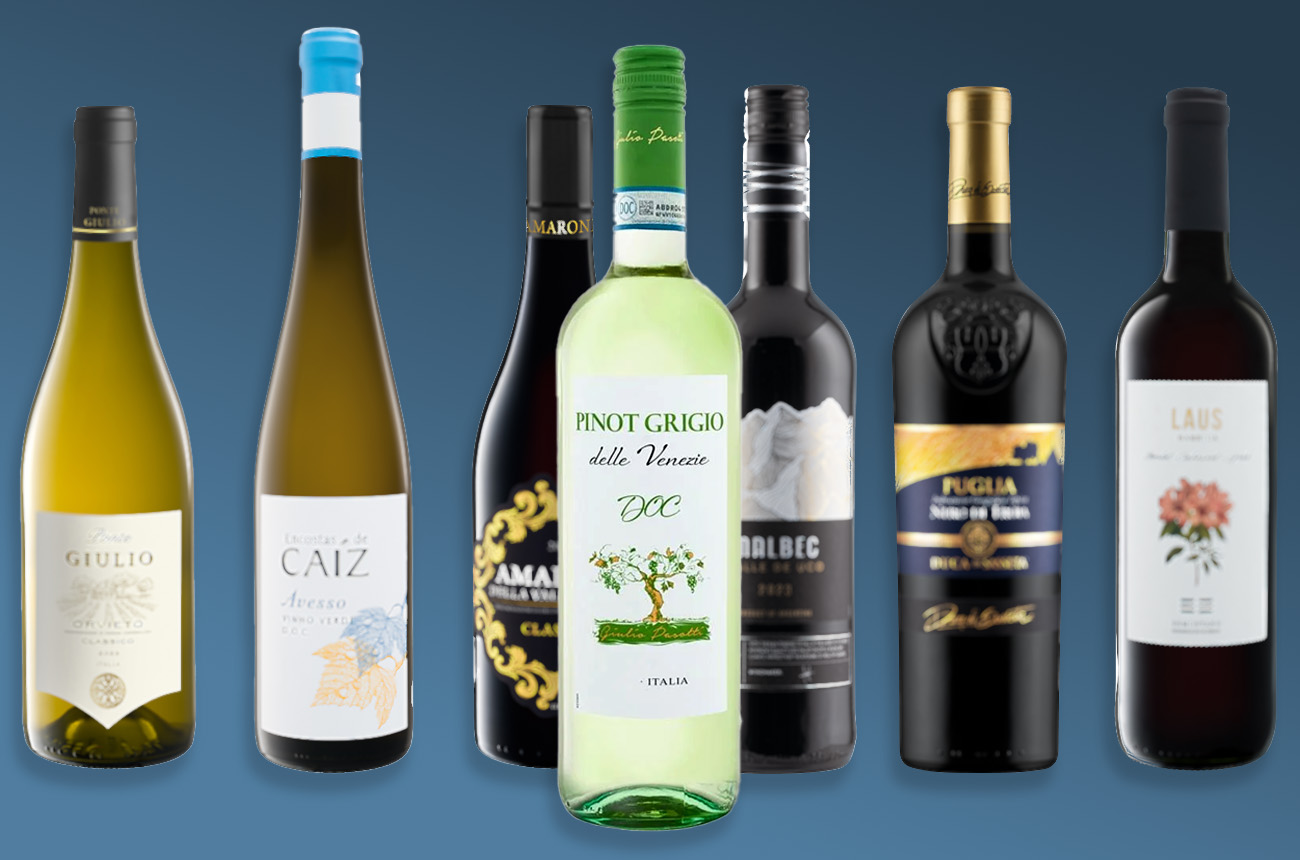 Bottles of Lidl wine