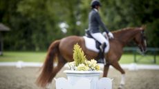 Horse sport governing bodies have introduced a range of initiatives to help during the cost of living crisis