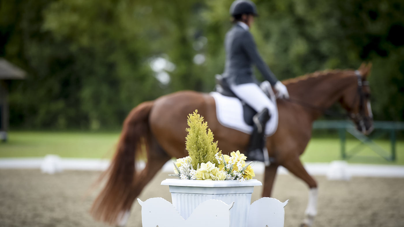 Horse sport governing bodies have introduced a range of initiatives to help during the cost of living crisis
