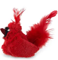 OurPets Play-N-Squeak Real Birds Cat Toys