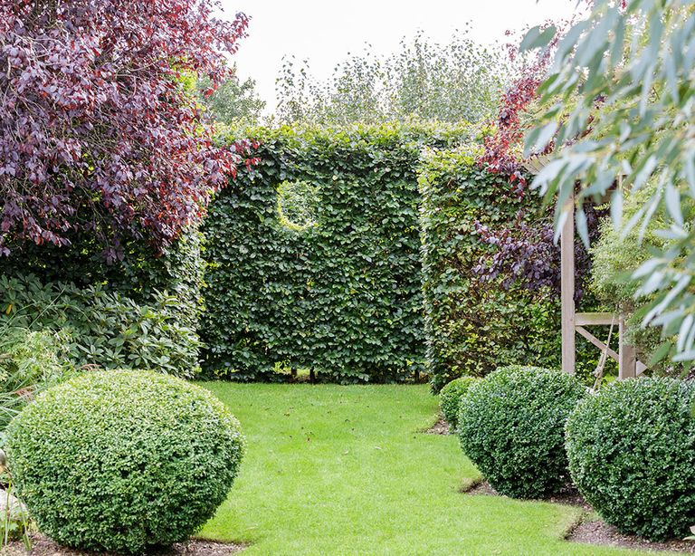 How to create an Instagram garden Instagram garden ideas Homes and
