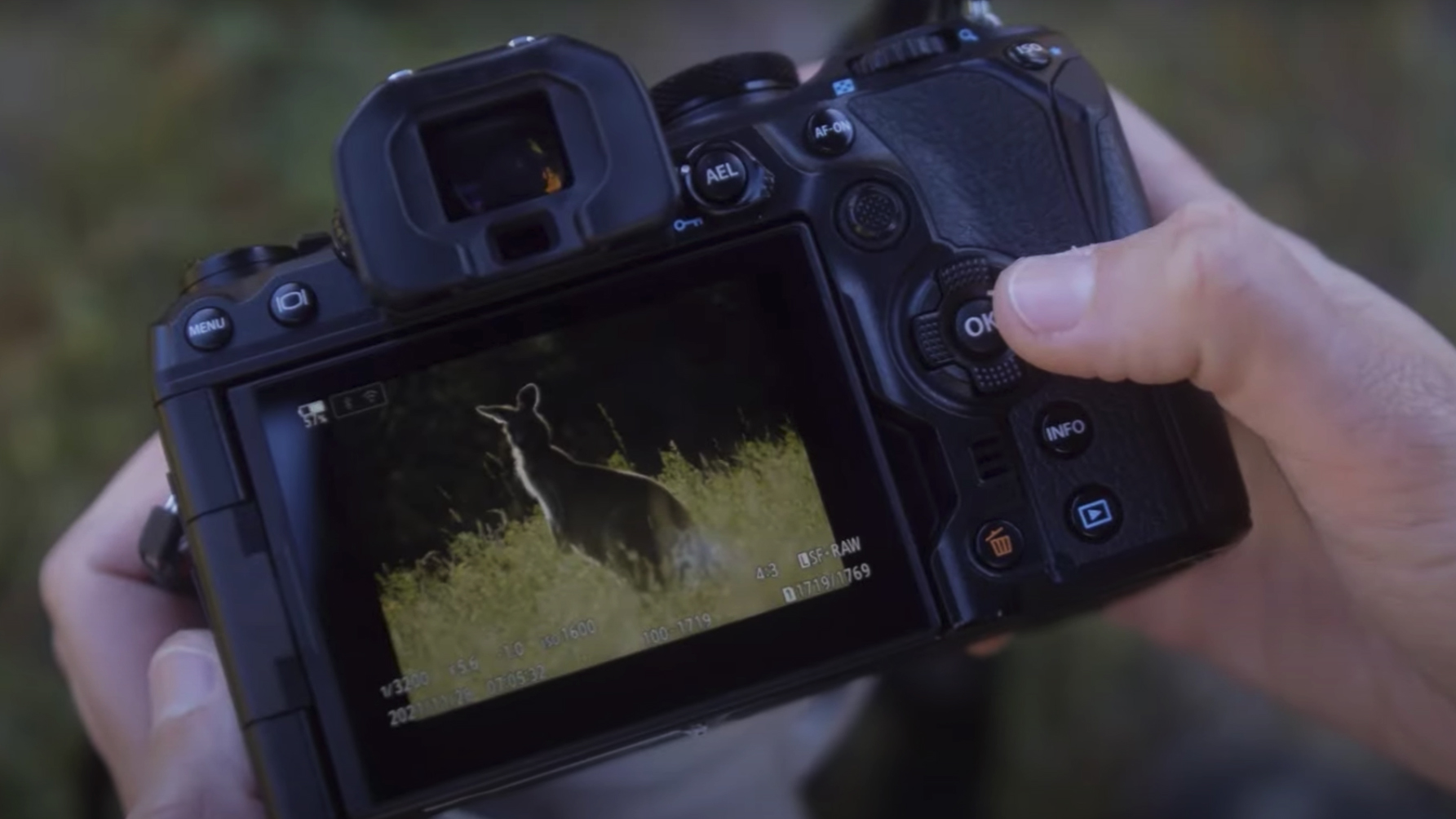 Two hands holding the back of the OM System OM-1 camera