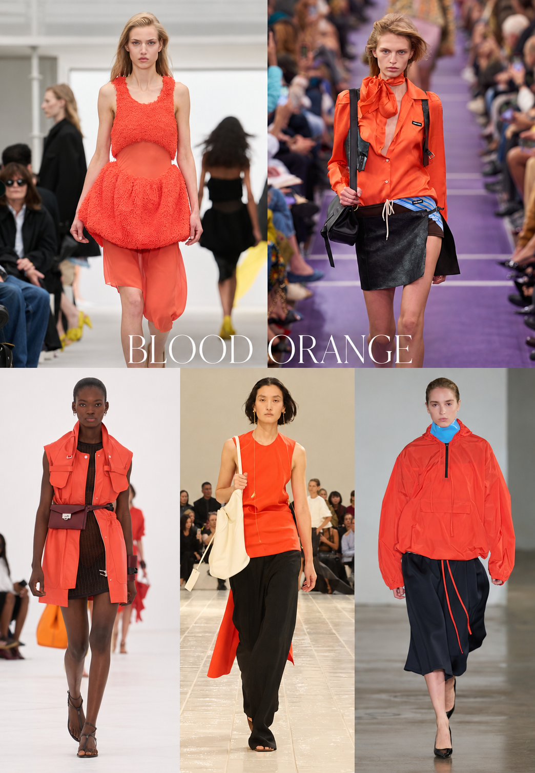 Photo collage of different color trends from the Spring Summer 2027 runway.