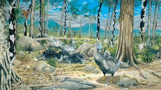 An illustration showing a dodo bird in a forest with other animals