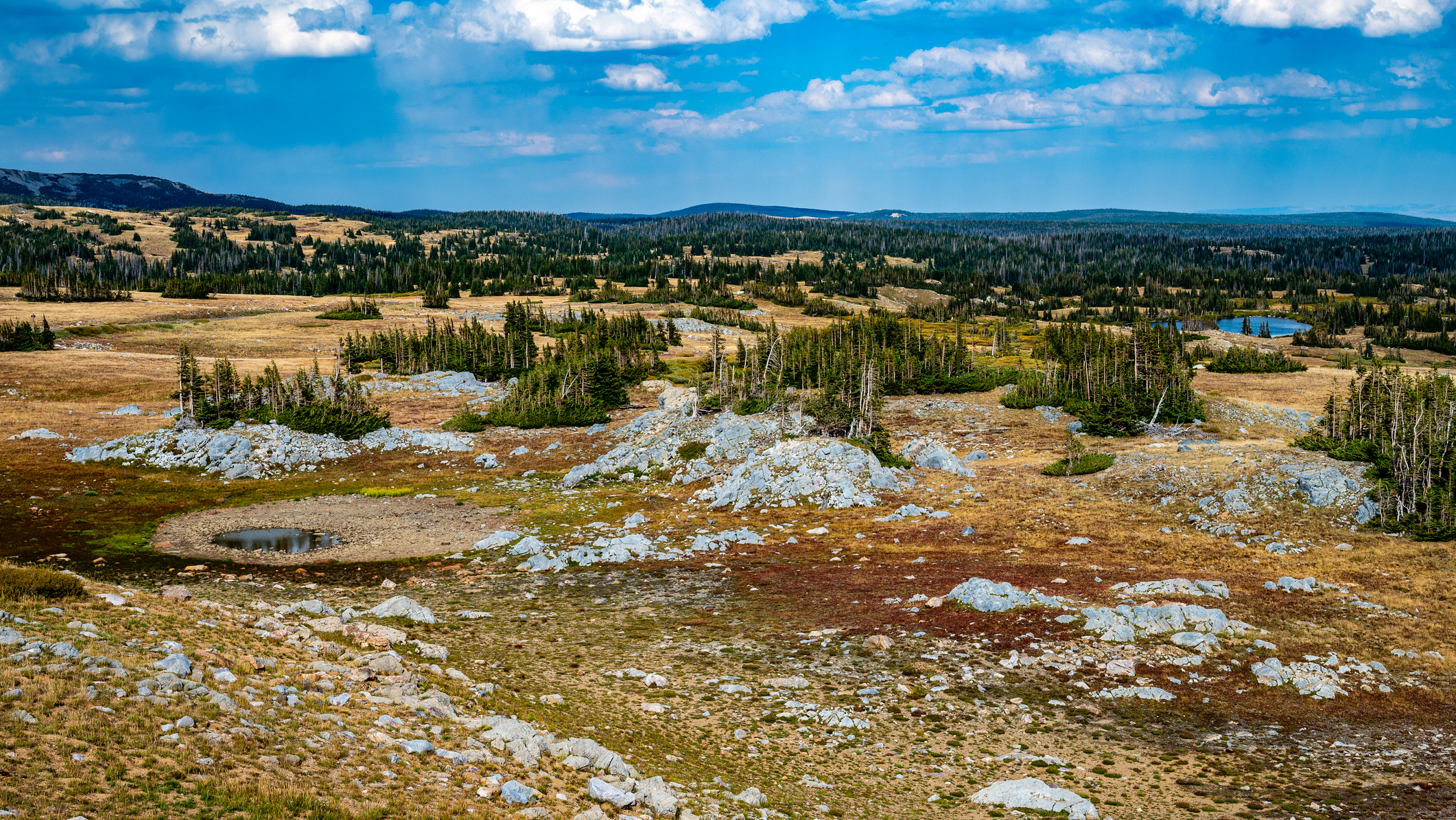 The Bighorn mountains