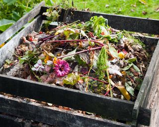 compost pile