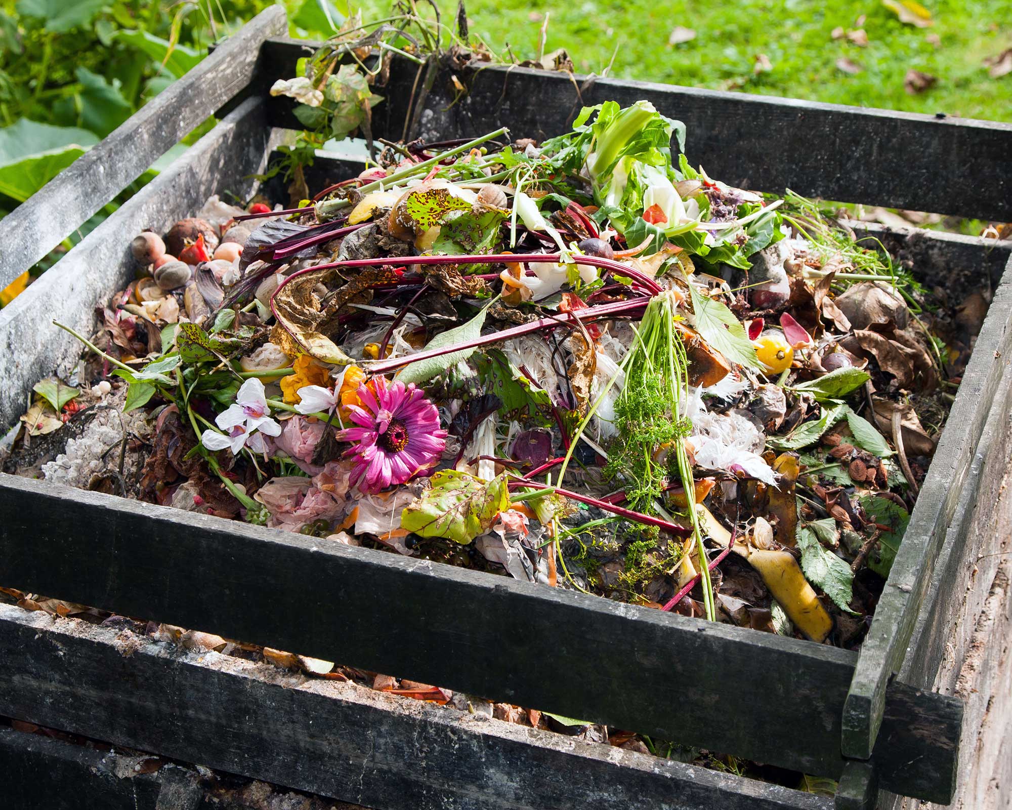 Composting: a step-by-step guide on how to compost at home | Gardeningetc