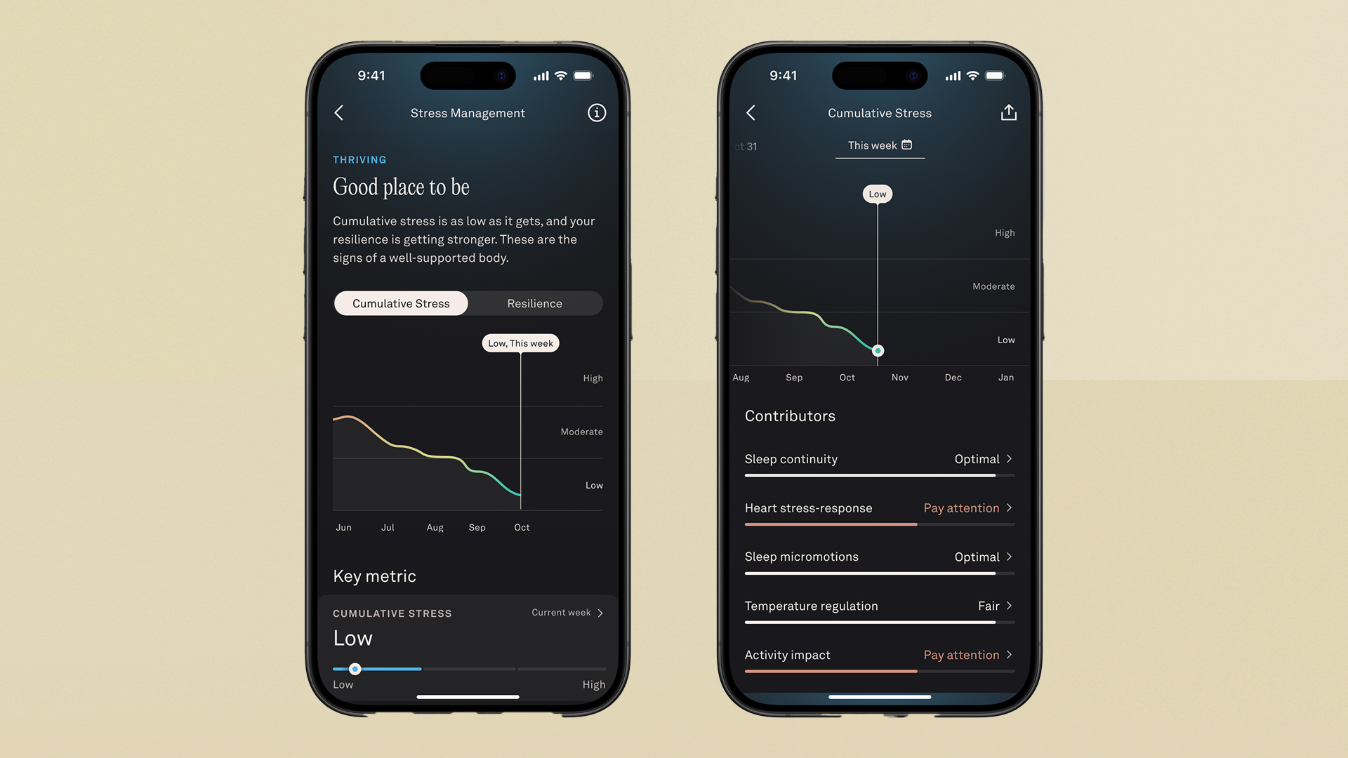 Oura new features launched