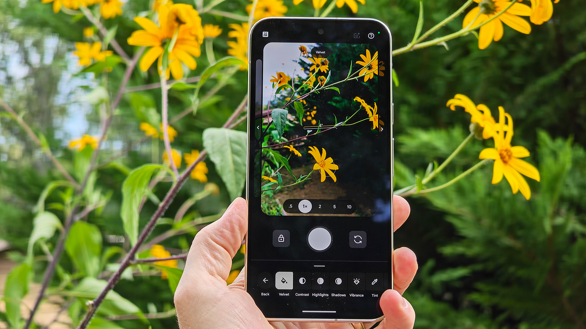 Taking a photo of flowers with a Google Pixel 11 Pro XL using the Camera Looks feature