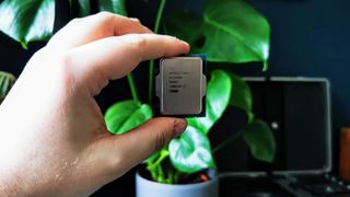 Hand holding 13th-gen Intel Core i9-13900K CPU in front of plant