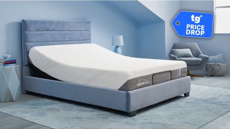 The Tempur-Pedic adjustable set featuring the Ease Power Base and the Tempur-Cloud Mattress in a light blue bedroom. 