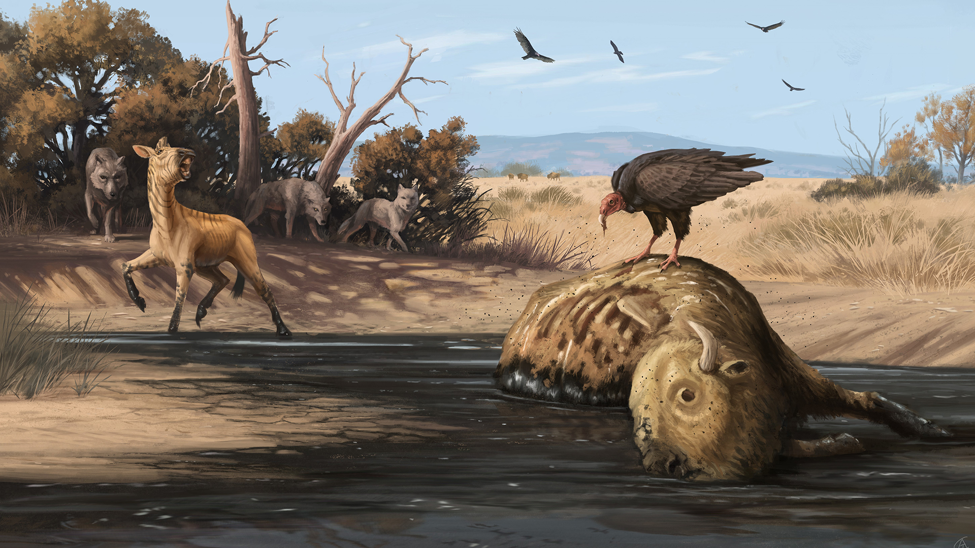 Illustration of dire wolves closing in on Western horse and bison decomposing in asphalt.