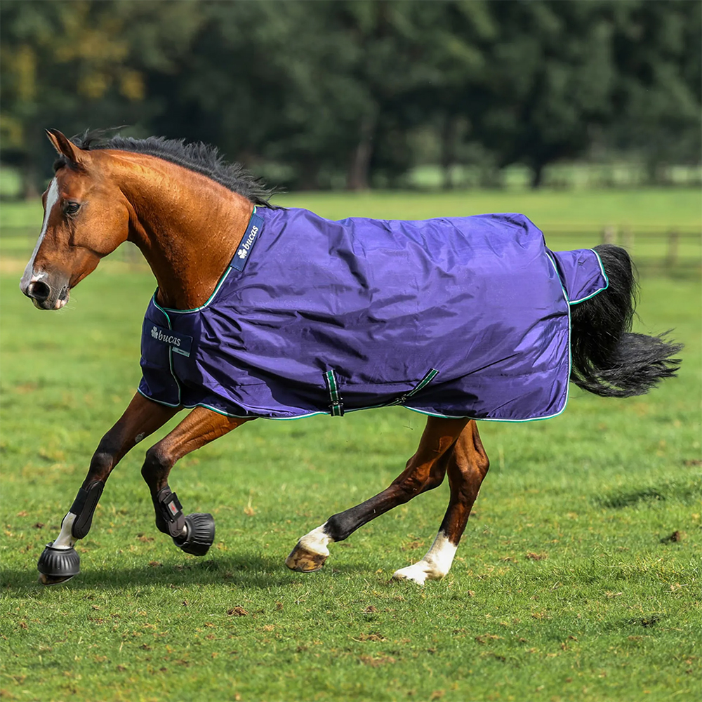Horse cantering across a field wearing a navy Bucas Smartex Rain 0g turnout rug