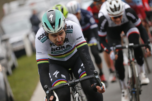 Peter Sagan sprints to first victory in rainbow jersey at Gent-Wevelgem