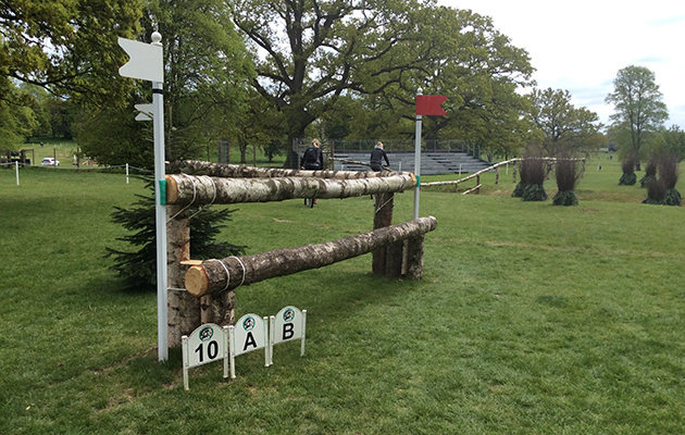 Badminton Fences 2017
