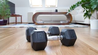 A pair of dumbbells on the living room floor
