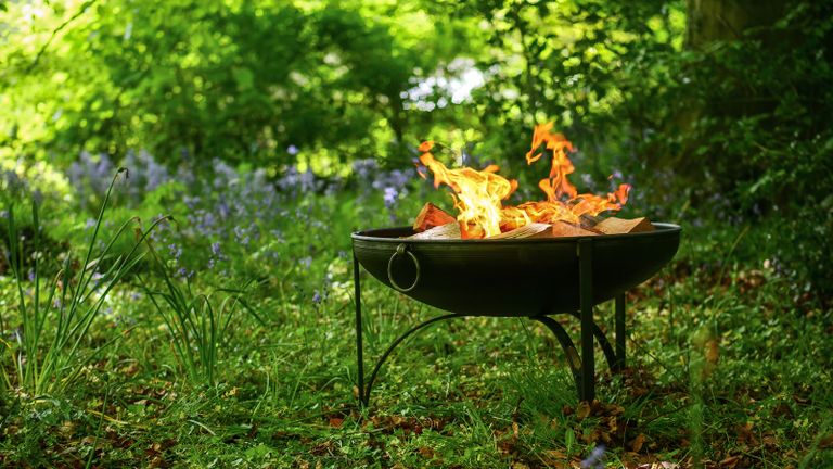 circular fire pit under trees