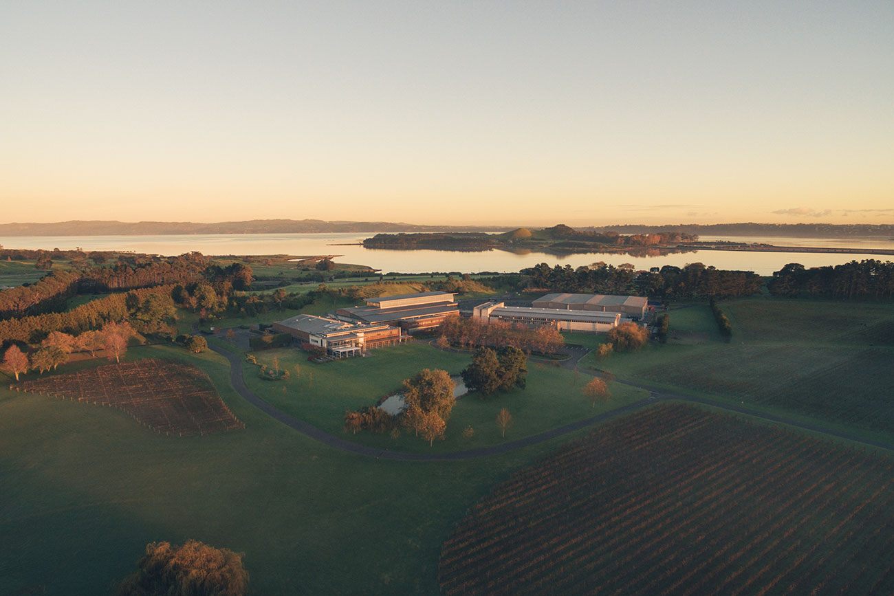 Winery_auckland_aerial.jpg