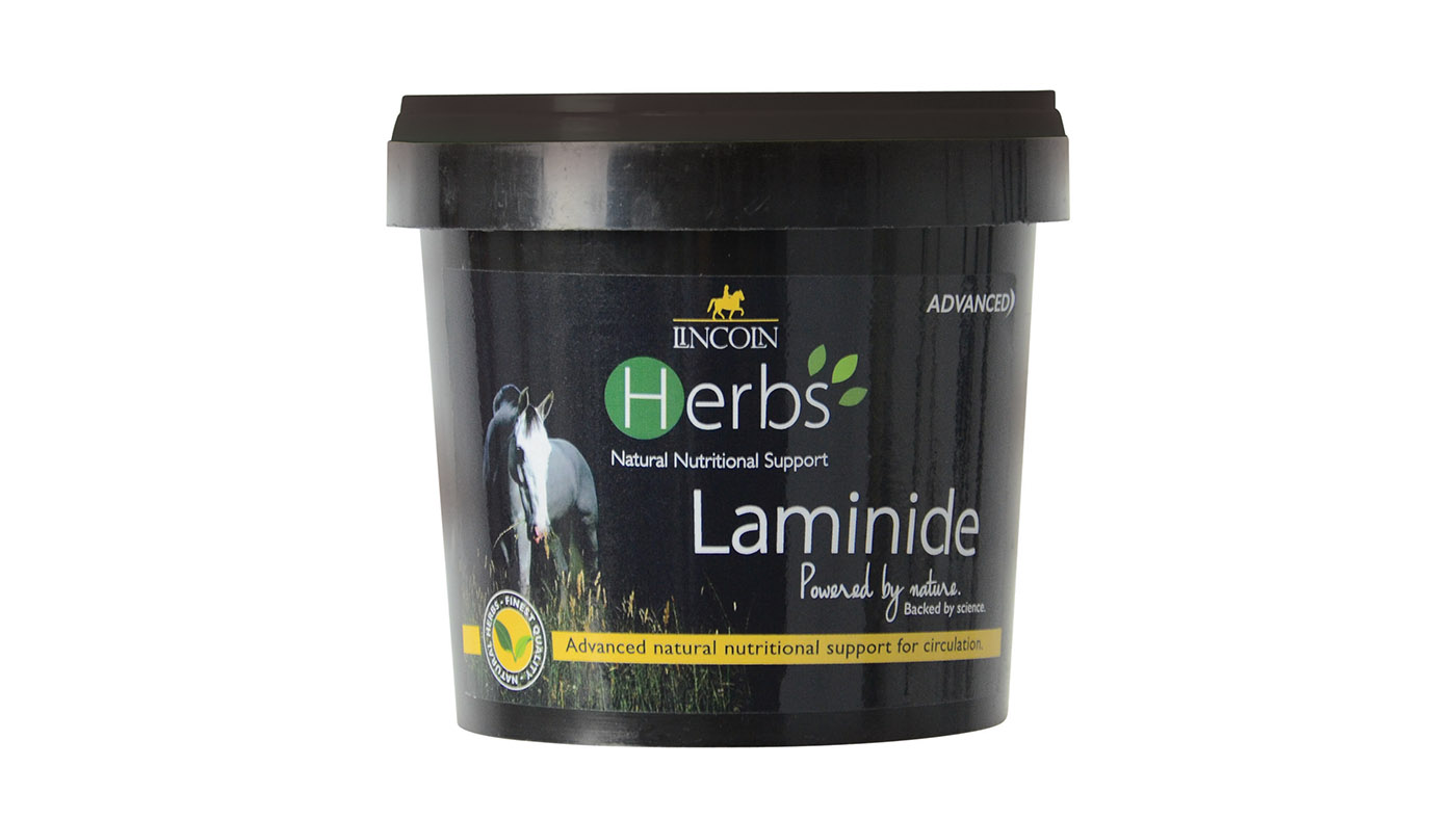 Lincoln Laminide