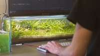 A YouTuber sits at their desktop PC, a small custom aquarium sat right beneath their dual monitor display.