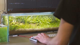 A YouTuber sits at their desktop PC, a small custom aquarium sat right beneath their dual monitor display.