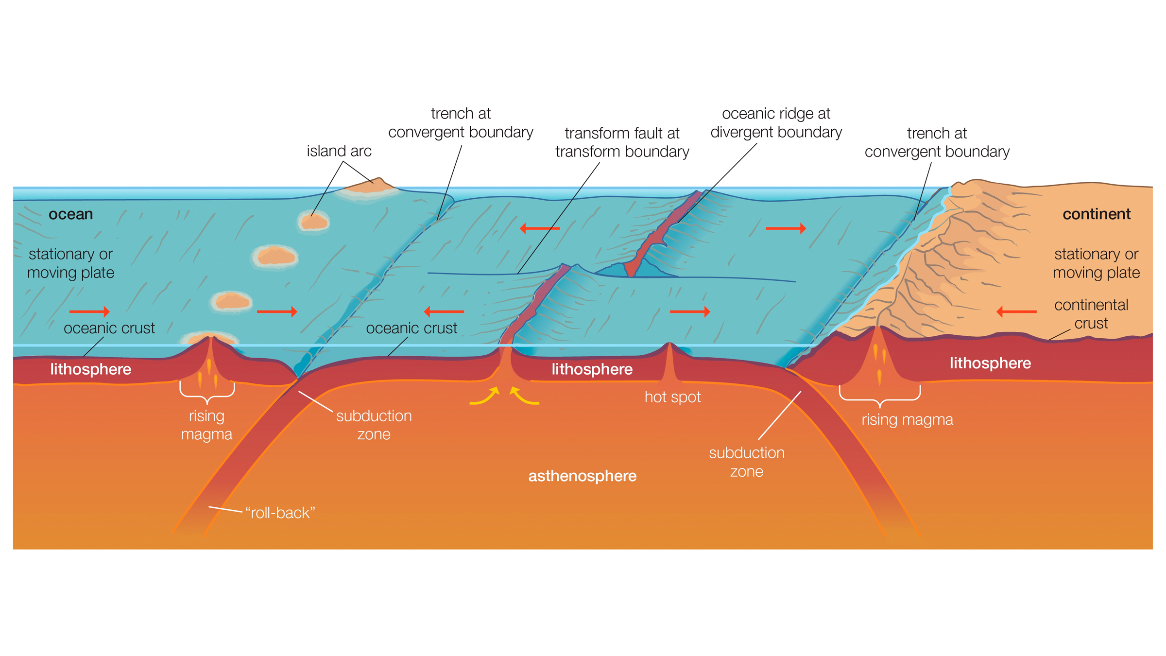 A diagram showing the different layers of the Earth and how plate tectonics subduct and make mid-ocean ridges, mountain ranges, and trenches.