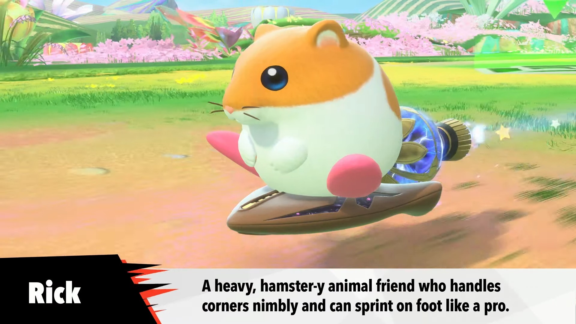 Kirby Air Riders