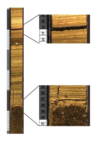 The thin, horizontal stripes in this cross-section of core, called laminae, were formed when diatoms settled on an ancient Kenyan lake bottom, alternating with layers of clay and volcanic ash. (The scale bar is in centimeters.) The laminae are good evidence of a deep, fairly large lake. The enlarged core section on the top right shows a band of volcanic ash that was brought into the lake by wind.