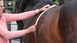 Measuring horse with weigh tape