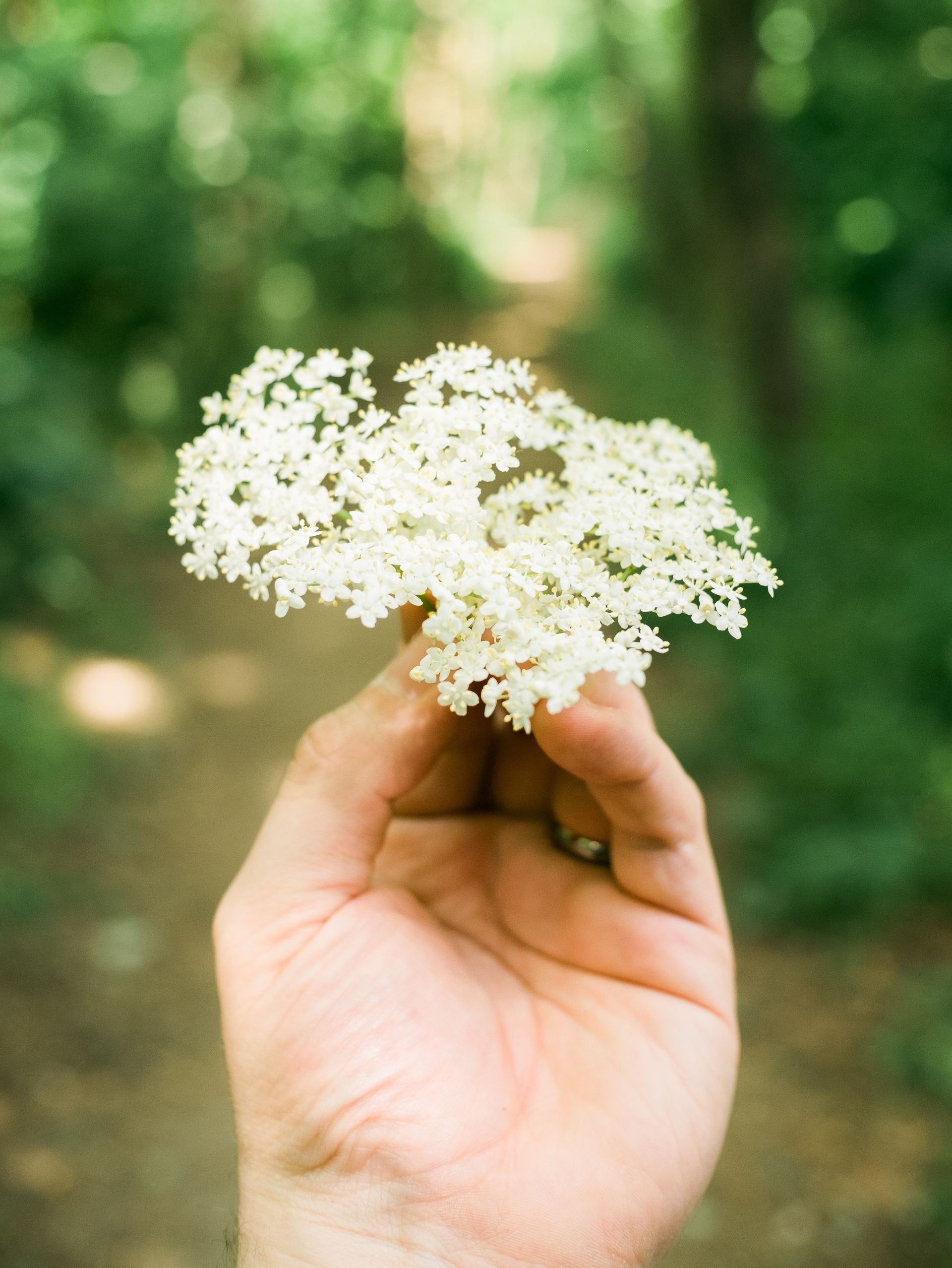 Elders in someone's hand