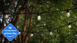 Brightech Ambience Pro Solar Powered Outdoor String Lights