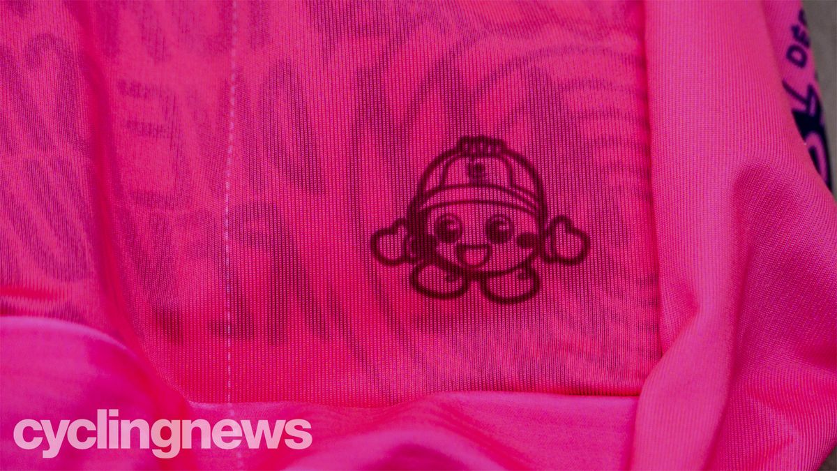 EF Education First-Nippo jersey