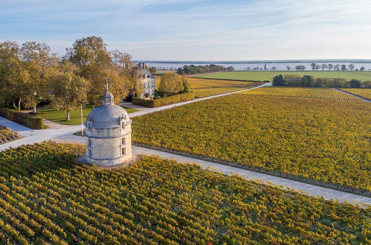 bordeaux 2017 wines