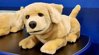 Tombot's robot dog for emotional support at CES