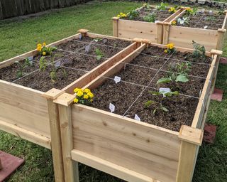Raised beds divided into a square foot grid for growing vegetables
