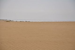 Guadalupe-Nipomo Dunes