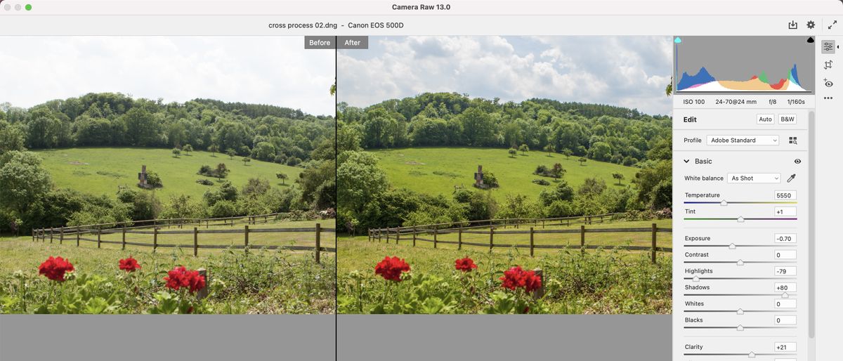 Adobe Photoshop Elements 2021